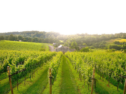 Setter Ridge Vineyards