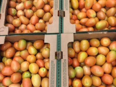 Productos mexicanos del rancho & mundo snacks distrubition