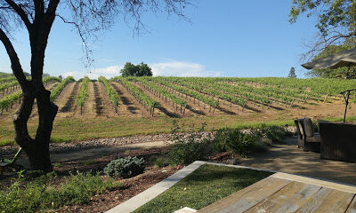 Sentivo Vineyards & Winery