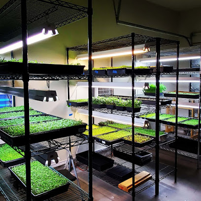 Eat Your Greens! Organic Farm