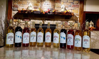 Lily's Vineyard on Skyline Drive