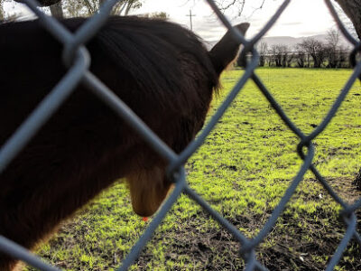 Arrowsmith Farms