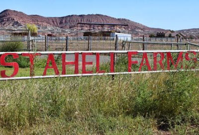Staheli Family Farm
