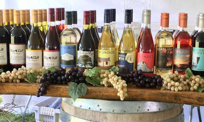 Edg-Clif Vineyard, Winery, Brewery