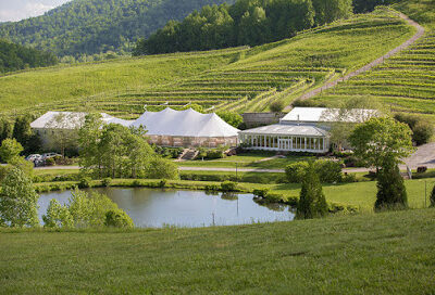 Delfosse Vineyards & Winery
