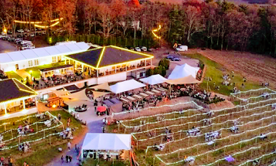 Blue Ridge Estate Vineyard & Winery