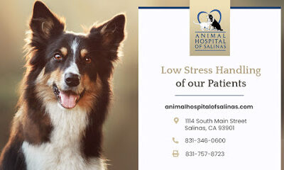 Animal Hospital of Salinas