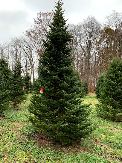 Tannenbaum Farms
