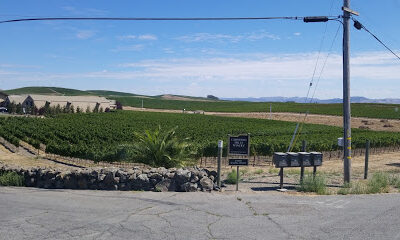 Carneros Hills Winery