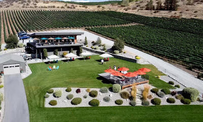 Amos Rome Vineyards
