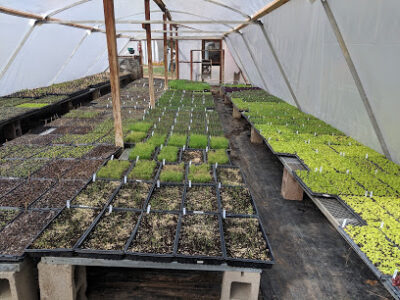 Cure Organic Farm