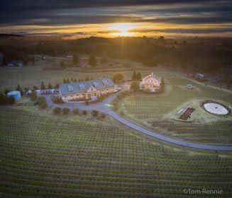 Merriam Vineyards