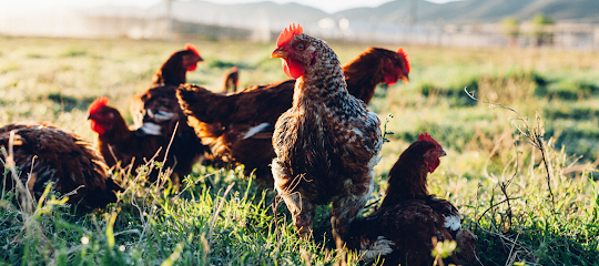 Pasturebird, Inc.