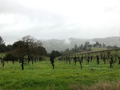 Story Winery