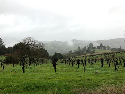 Story Winery