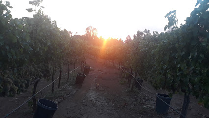 Tranquil Heart Vineyard And Winery