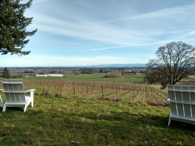 Evesham Wood Vineyard