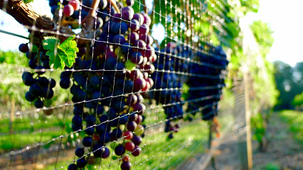 Jefferson Vineyards