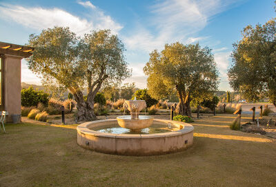 Gold Ridge Organic Farms