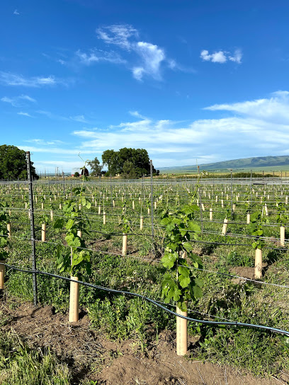 Ducleaux Cellars