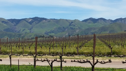 Pacific Vineyard Company