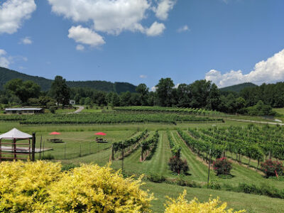 Stonewall Creek Vineyards