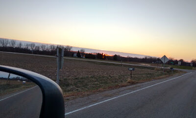 Lewis Llama Farm