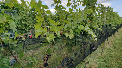 The Federal Twist Vineyard