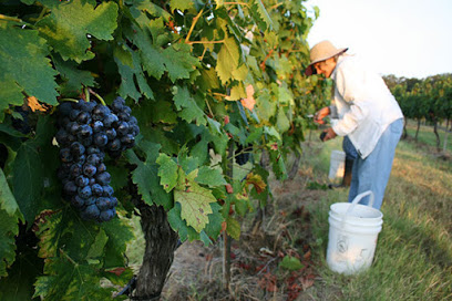 Pedernales Cellars