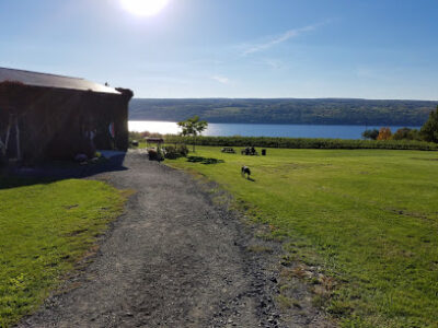 Catharine Valley Winery
