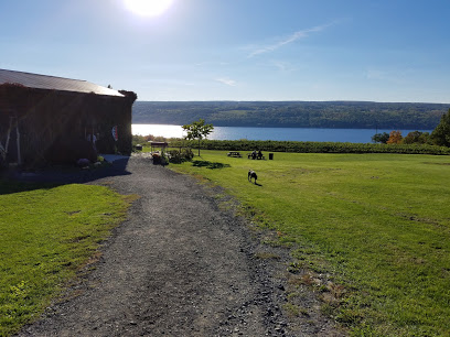 Catharine Valley Winery