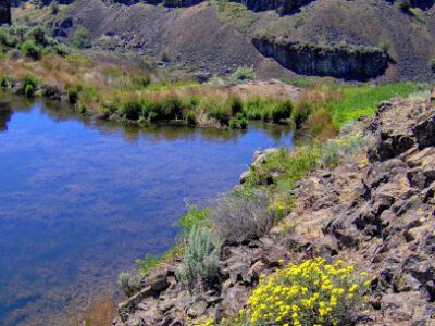 Quincy Lakes Unit: Columbia Basin Wildlife Area