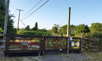 Skinner City Farm