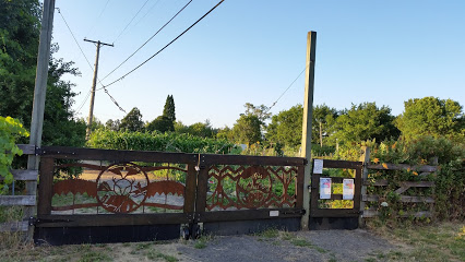 Skinner City Farm