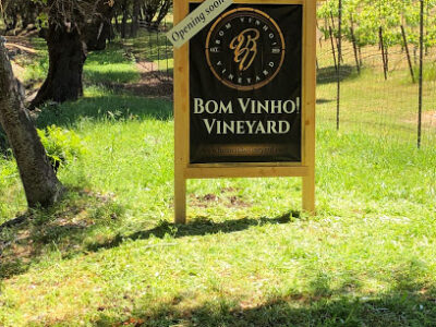 Bom Vinho! Vineyard