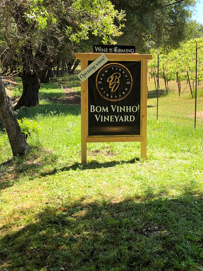 Bom Vinho! Vineyard