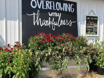 Hale’s Fall Harvest