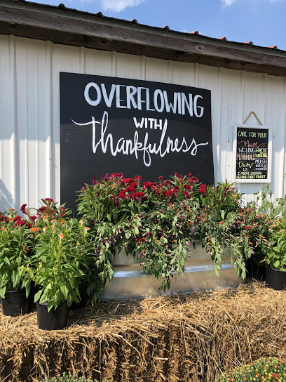Hale’s Fall Harvest