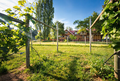Unsworth Vineyards