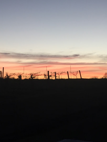 Rowe Ridge Vineyard & Winery