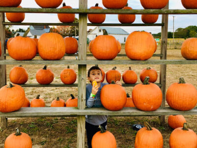Sahl's Father Son Farm