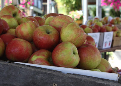 Weaver's Orchard Inc