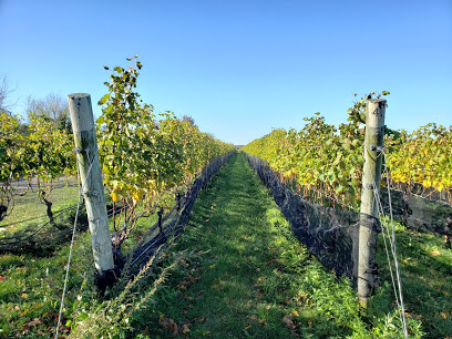 Mattebella Vineyards