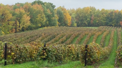 Lakeview Wine Cellars