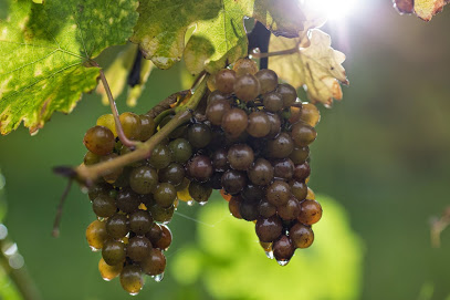 Ciccone Vineyard & Winery