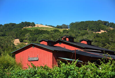 Martin Ranch Winery