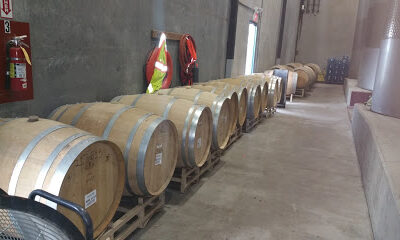 Columbia Winery