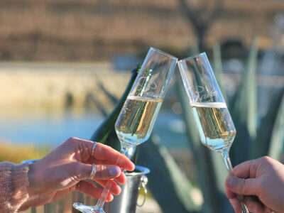 Rava Wines