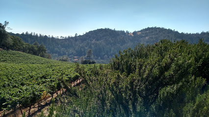 Cimarossa Wines