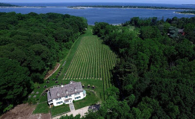 Harmony Vineyards